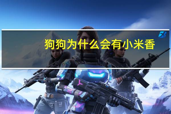 狗狗为什么会有小米香