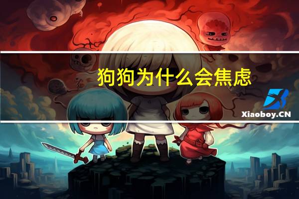 狗狗为什么会焦虑