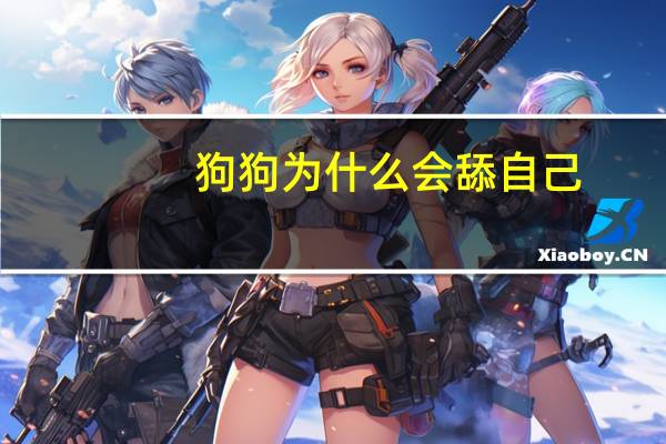 狗狗为什么会舔自己