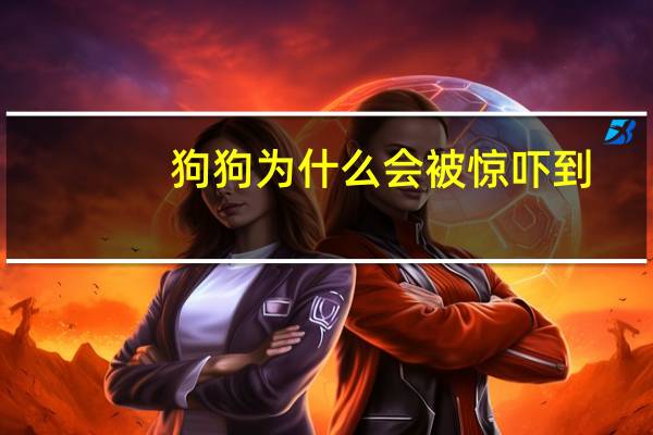 狗狗为什么会被惊吓到