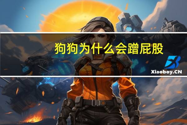 狗狗为什么会蹭屁股