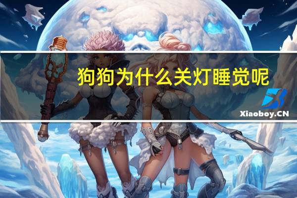 狗狗为什么关灯睡觉呢