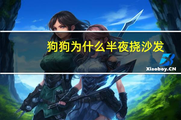 狗狗为什么半夜挠沙发