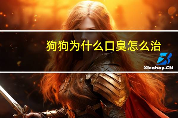 狗狗为什么口臭怎么治
