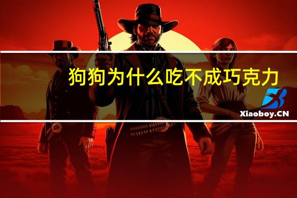狗狗为什么吃不成巧克力