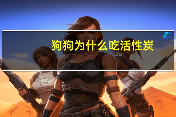 狗狗为什么吃活性炭