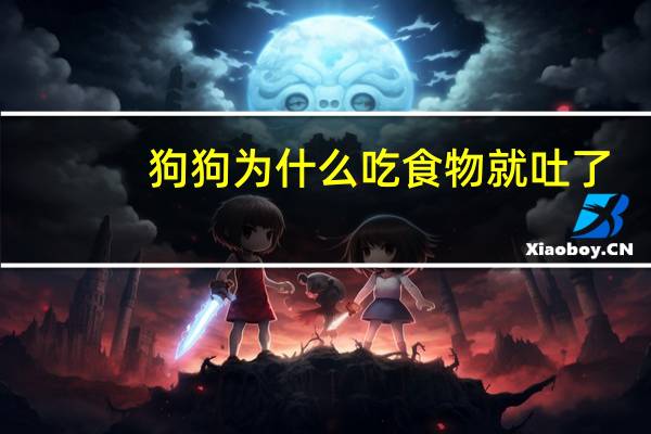 狗狗为什么吃食物就吐了