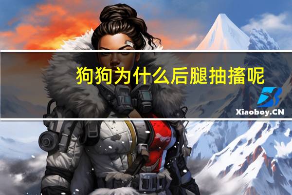狗狗为什么后腿抽搐呢
