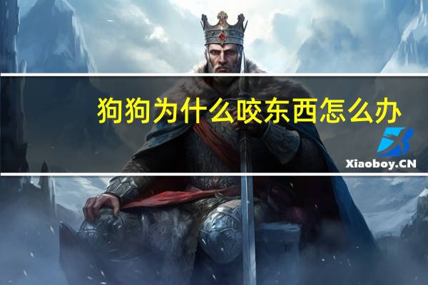 狗狗为什么咬东西怎么办