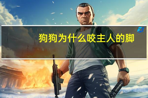 狗狗为什么咬主人的脚