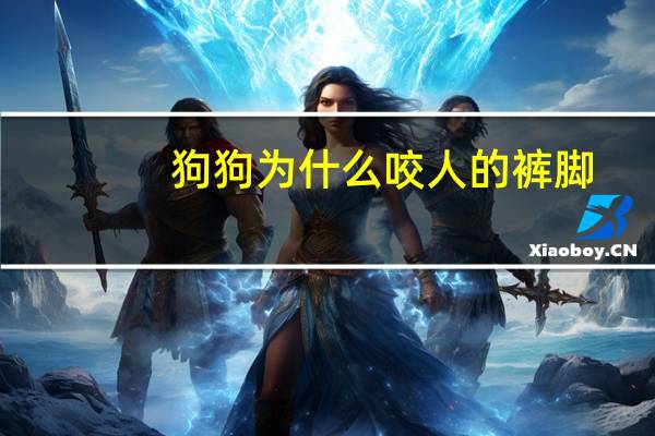 狗狗为什么咬人的裤脚