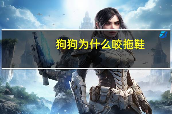 狗狗为什么咬拖鞋