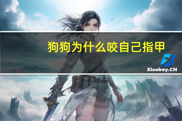 狗狗为什么咬自己指甲