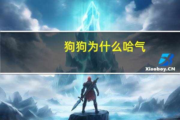 狗狗为什么哈气