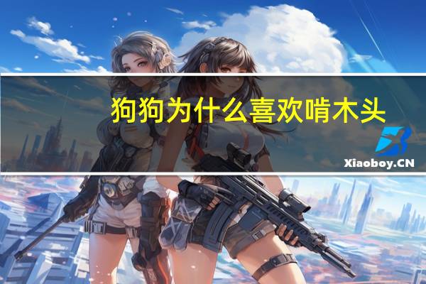 狗狗为什么喜欢啃木头