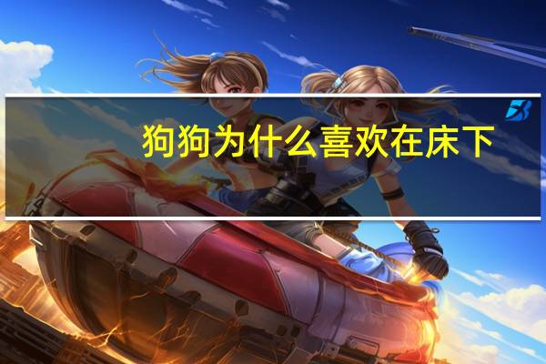 狗狗为什么喜欢在床下