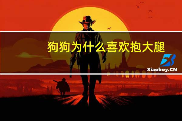 狗狗为什么喜欢抱大腿