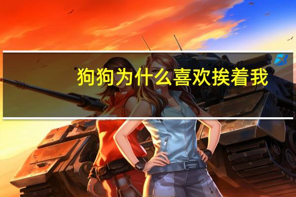 狗狗为什么喜欢挨着我