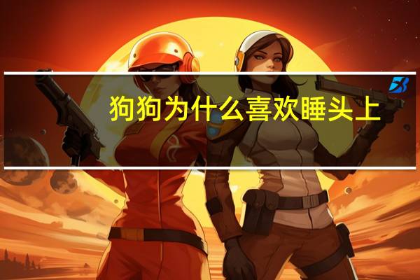 狗狗为什么喜欢睡头上