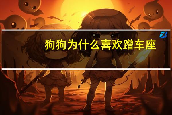 狗狗为什么喜欢蹭车座