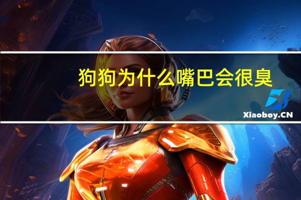 狗狗为什么嘴巴会很臭