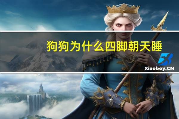 狗狗为什么四脚朝天睡