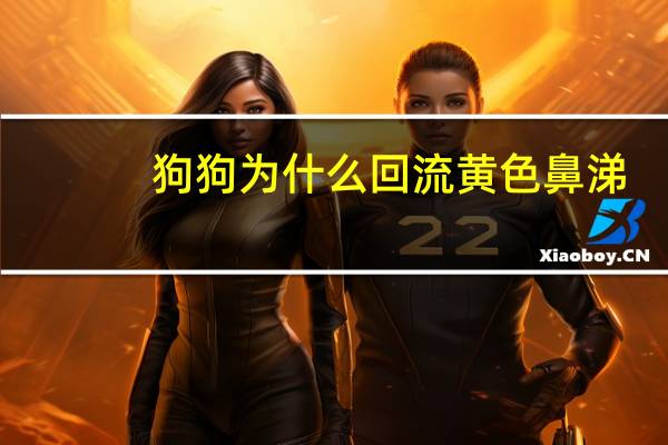 狗狗为什么回流黄色鼻涕