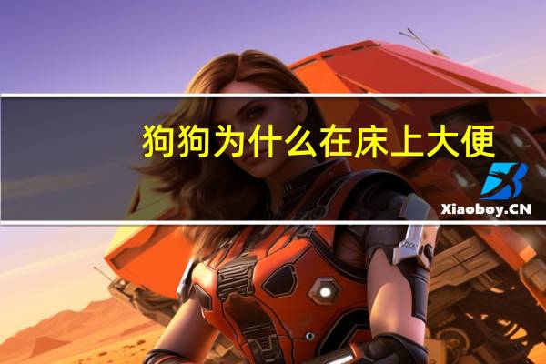 狗狗为什么在床上大便