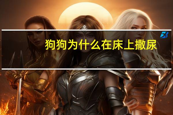 狗狗为什么在床上撒尿