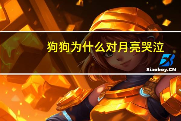 狗狗为什么对月亮哭泣