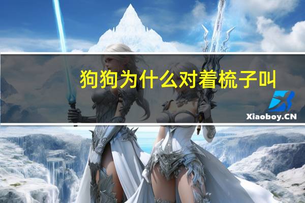 狗狗为什么对着梳子叫