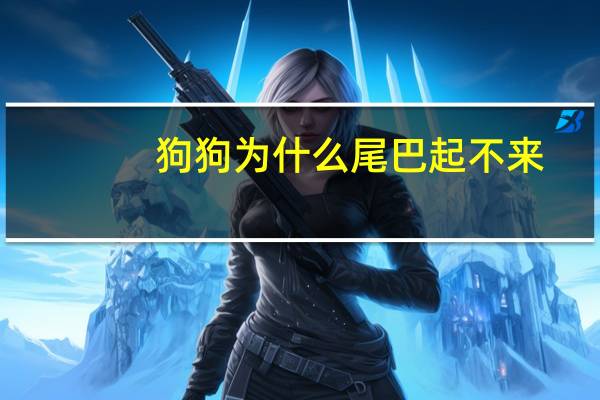 狗狗为什么尾巴起不来