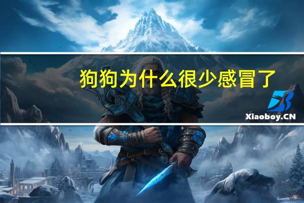狗狗为什么很少感冒了