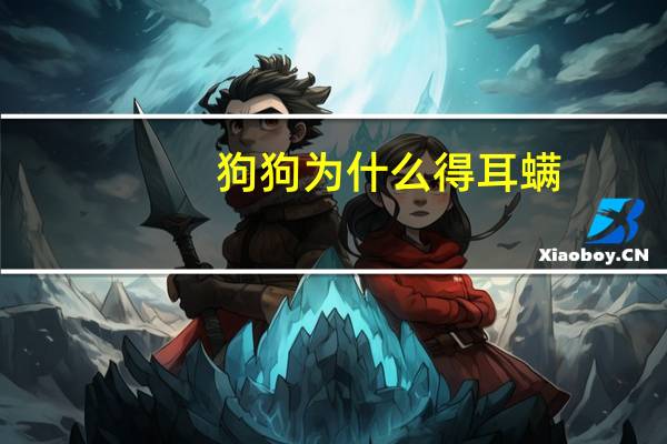 狗狗为什么得耳螨