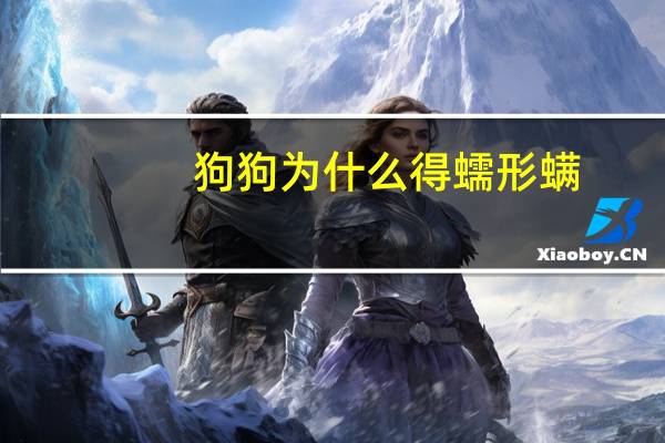 狗狗为什么得蠕形螨