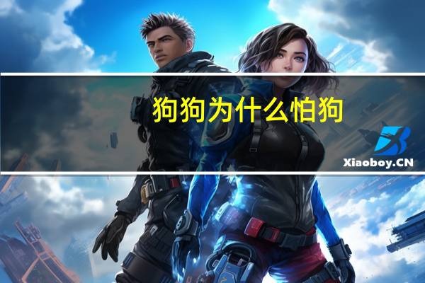 狗狗为什么怕狗