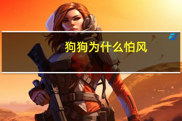 狗狗为什么怕风