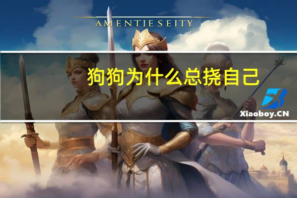 狗狗为什么总挠自己