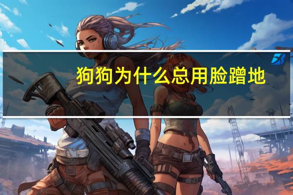 狗狗为什么总用脸蹭地