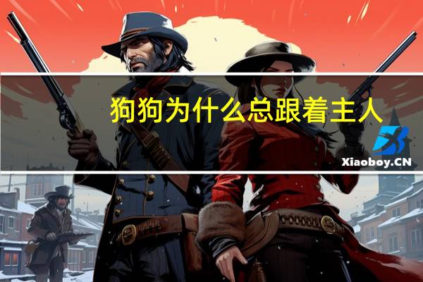 狗狗为什么总跟着主人