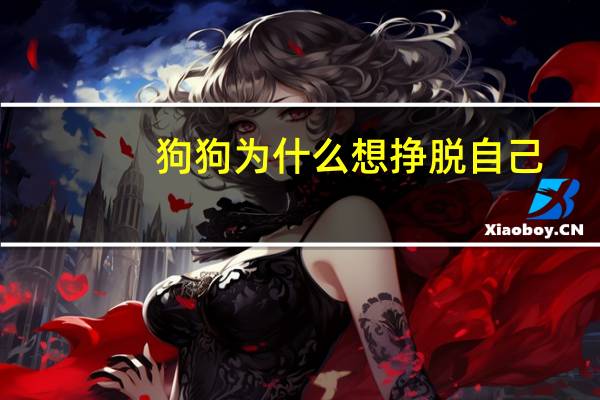 狗狗为什么想挣脱自己