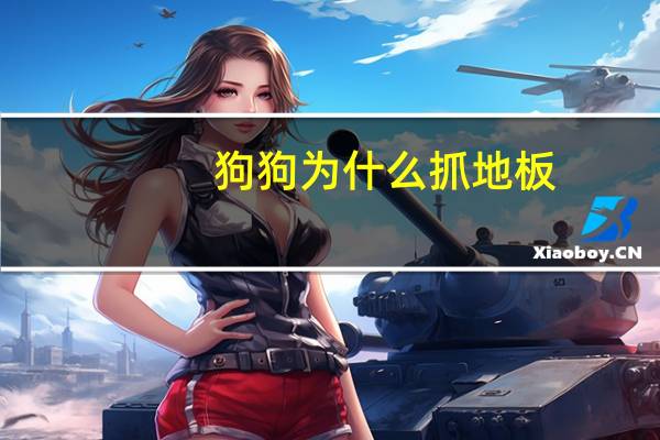 狗狗为什么抓地板