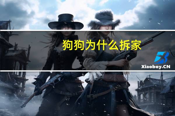 狗狗为什么拆家