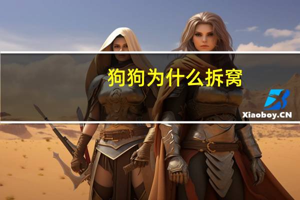 狗狗为什么拆窝