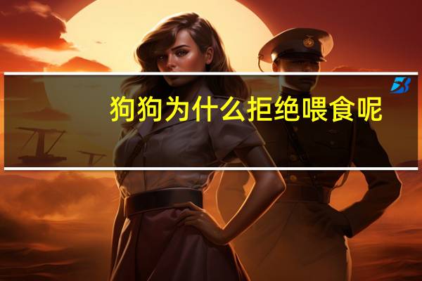 狗狗为什么拒绝喂食呢