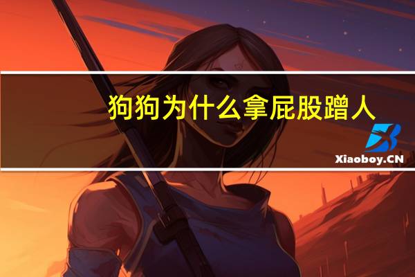 狗狗为什么拿屁股蹭人