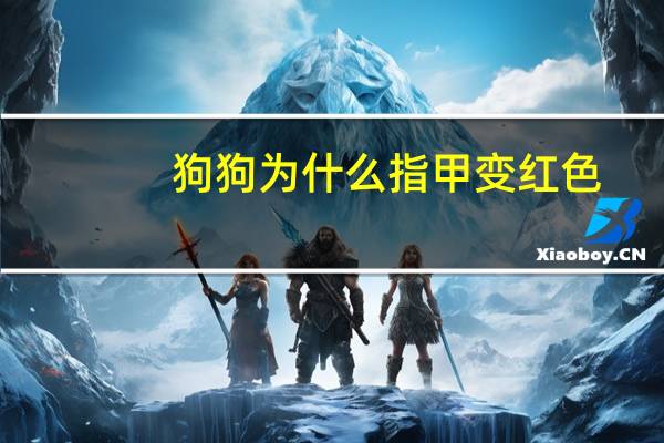 狗狗为什么指甲变红色