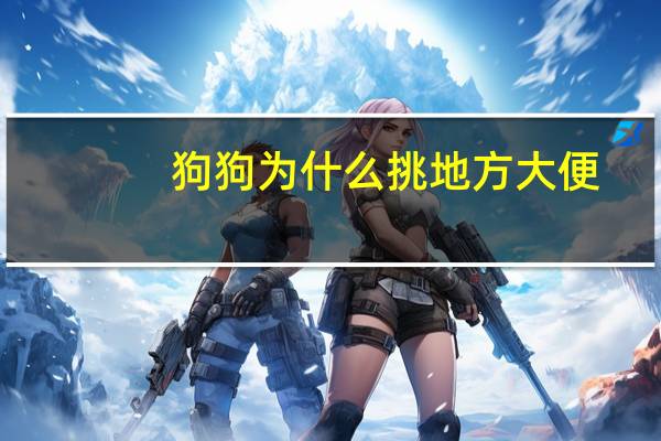狗狗为什么挑地方大便