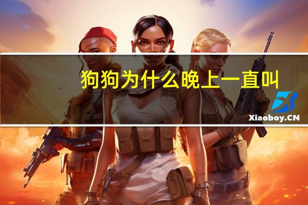 狗狗为什么晚上一直叫