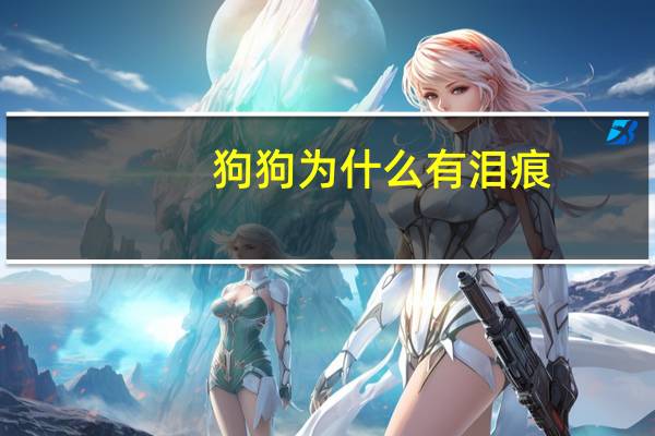 狗狗为什么有泪痕